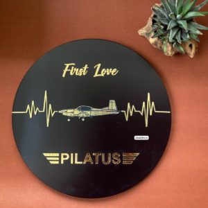 pc-7 pilatus goldenwall hanging