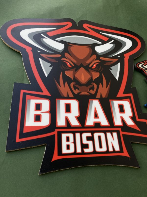 BRAR BISON AFA SQUADRON WALL HANGING - Image 2