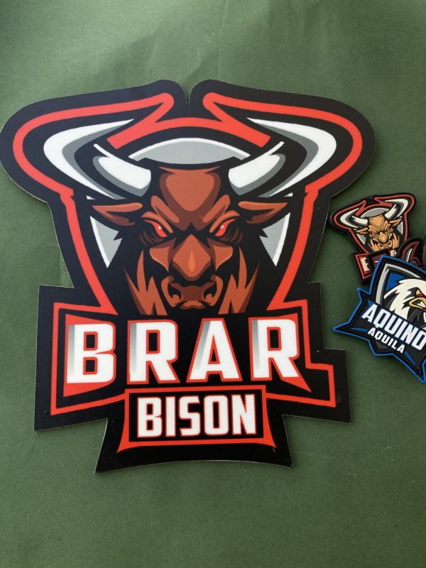 BRAR BISON AFA SQUADRON WALL HANGING